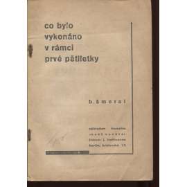 Co bylo vykonáno v rámci prvé pětiletky (levicová literatura, komunistická literatura)