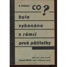 Co bylo vykonáno v rámci prvé pětiletky (levicová literatura, komunistická literatura)