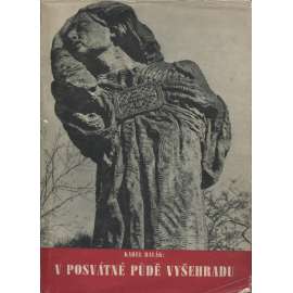 V posvátné půdě Vyšehradu (Vyšehrad, Slavín, hřbitov ,náhrobek, průvodce; fotografie Lubor Zahrádka)
