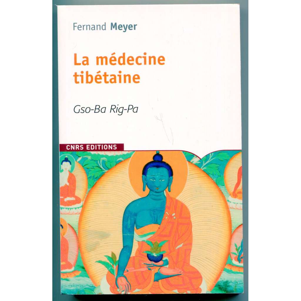 La médicine tibétaine. Gso-ba Rig-pa [Tibet, tradiční tibetská medicína, tibetské lékařství, tibetský léčebný systém]