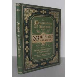 Illustrierte kunstgewerbliche Zeitschrift für Innen-Dekoration zur Ausschmückung u. Einrichtung der Wohnräume; Band IV, 1893 [užité a dekorativní umění, umělecké řemeslo, interiérový design, architektura]