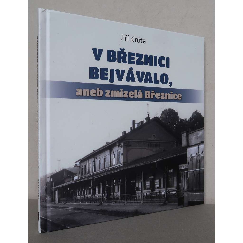 V Březnici bejvávalo, aneb zmizelá Březnice [Březnice (o. Příbram) na historických fotografiích, vlastivěda]