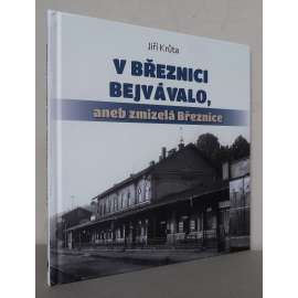 V Březnici bejvávalo, aneb zmizelá Březnice [Březnice (o. Příbram) na historických fotografiích, vlastivěda]