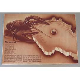Svět v obrazech, roč. 1938, č. 34 (4. 9.) [fotomontáž John Heartfield; obálka; koláž; levicové časopisy; Mnichov]