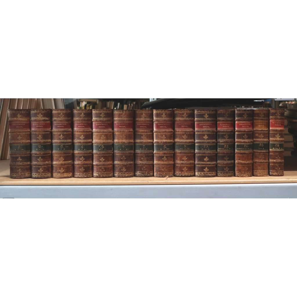 Allgemeine deutsche Real-Encyclopädie für die gebildeten Stände (Conversations-Lexicon), 10 Bände + Neue Folge, 2 Bände in 4 Büchern [lexikon, slovník, encyklopedie Brockhaus,  knihy 19. století, vazba kůže - polokožená]