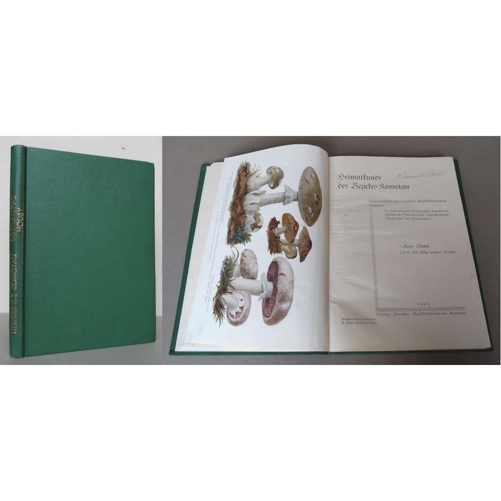 Heimatkunde des Bezirkes Komotau, 1. Band: Natur, 4., 5. u. 6. Heft - Die Pilze unserer Heimat, Die Pflanzendecke unserer Heimat, Heimische Sporenpflanzen [vlastivěda okresu Chomutov - příroda, rostinstvo, houby, kapradiny; Sudety]