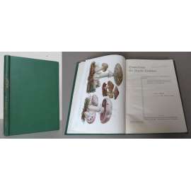 Heimatkunde des Bezirkes Komotau, 1. Band: Natur, 4., 5. u. 6. Heft - Die Pilze unserer Heimat, Die Pflanzendecke unserer Heimat, Heimische Sporenpflanzen [vlastivěda okresu Chomutov - příroda, rostinstvo, houby, kapradiny; Sudety]