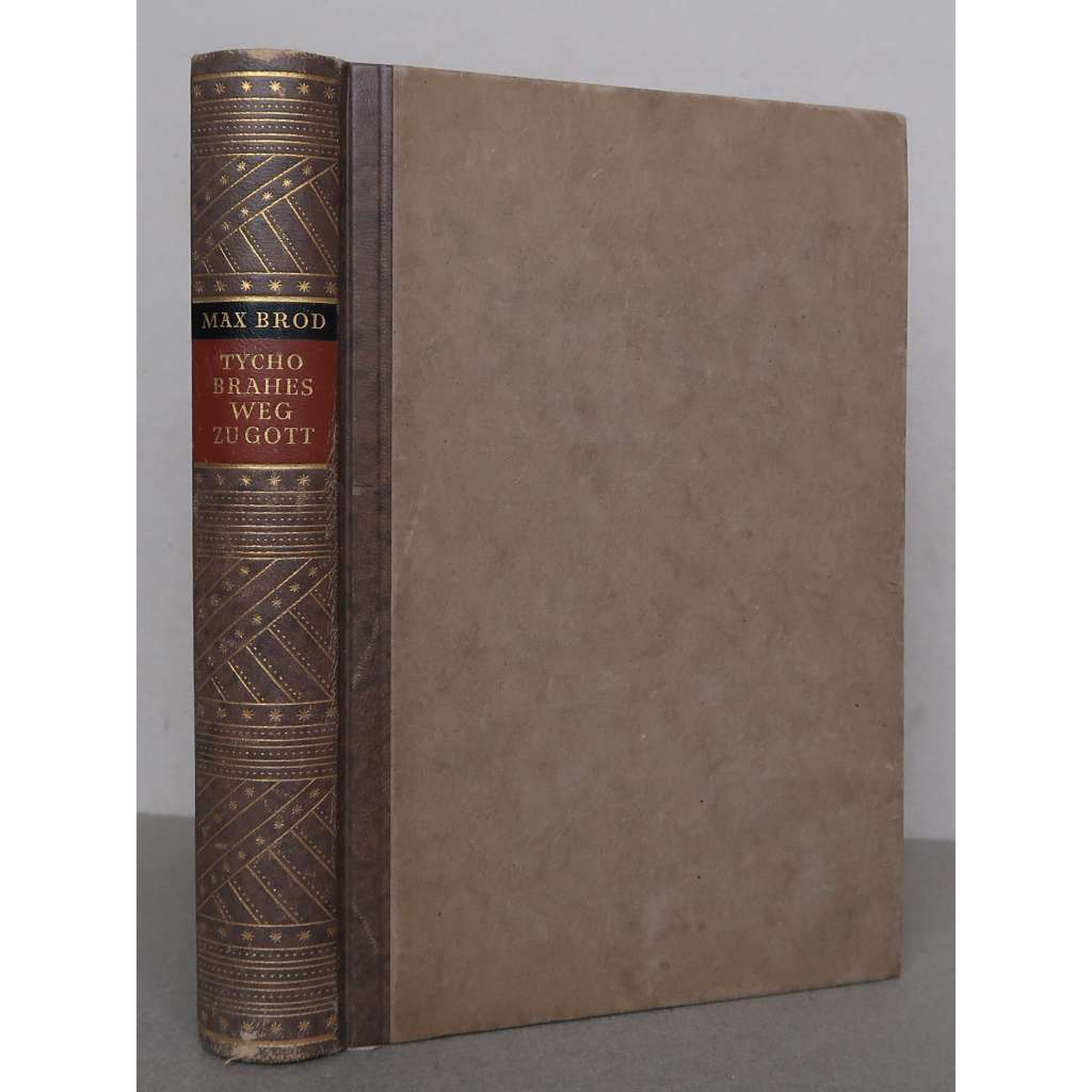 Tycho Brahes Weg zu Gott [" Tychona Brahe cesta k bohu", román, pražská židovská německojazyčná literatura, Pražský kruh]