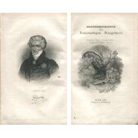 Säugethiere. Erster Theil. Das Katzengeschlecht [1836; kočkovité šelmy; rytiny; ilustrace; chromolitografie; zoologie]