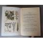 Das große Kneippbuch. Ein Volkbuch für Gesunde und Kranke  [medicína, zdraví, Kneippova terapie, kúra, hydroterapie, vodoléčba, fyziatrie, alternativní medicína, Sebastian Anton Kneipp, knajpování]