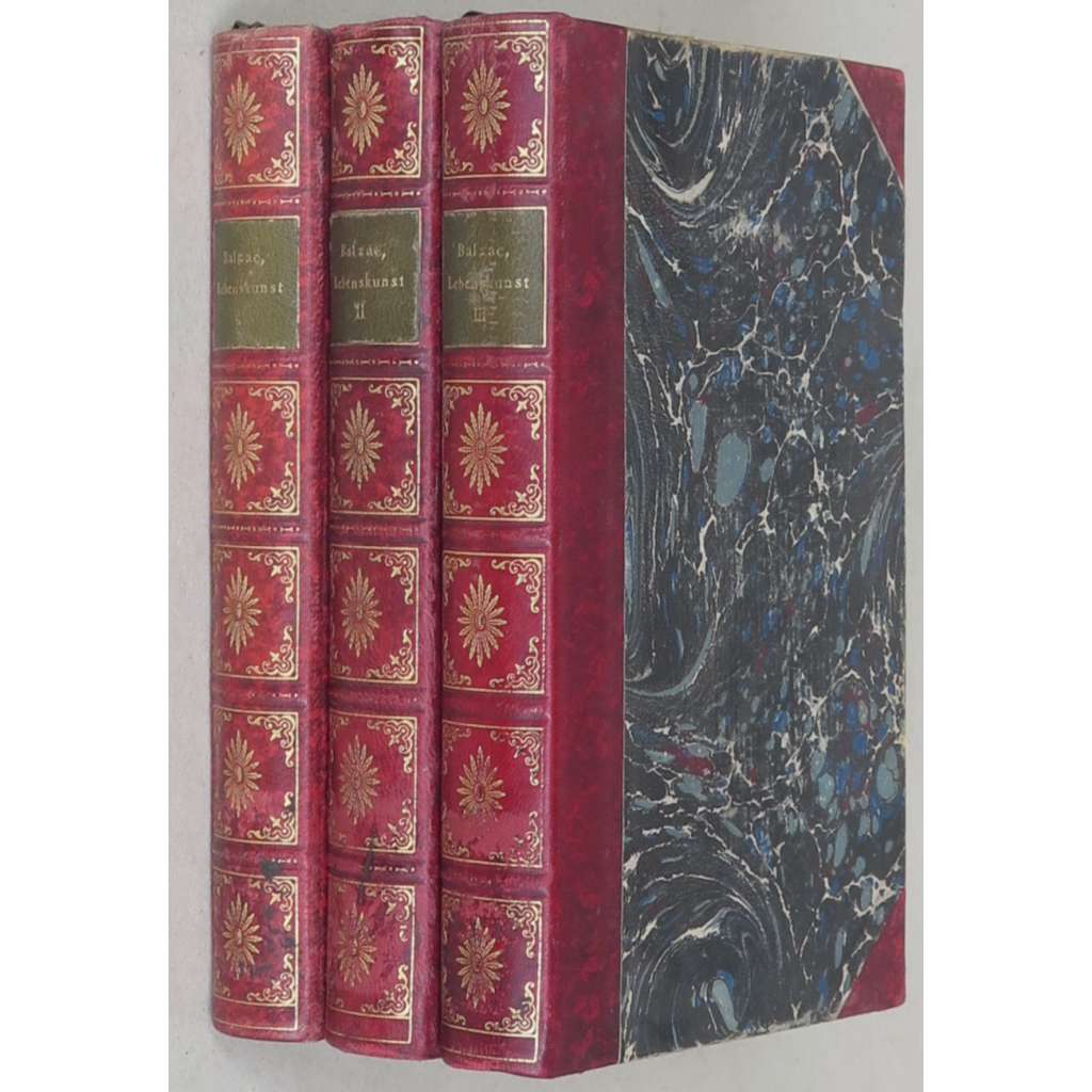 Physiologie des eleganten Lebens, 3 svazky [ilustrace; vazba; kůže; Sicherheitsdienst; Fred]