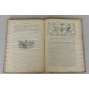 Golos minuvšego, roč. 5, 1917, č. 1-2, 4-12 [časopis; historie; literatura; Rusko; dějiny Ruska; minuvšago; Голос минувшего]