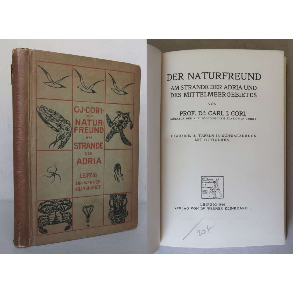Der Naturfreund am Strande der Adria und des Mittelmeergebietes [příroda, živočichové na pobřeží Jaderského moře, Jaderské a Středozemní moře - fauna]