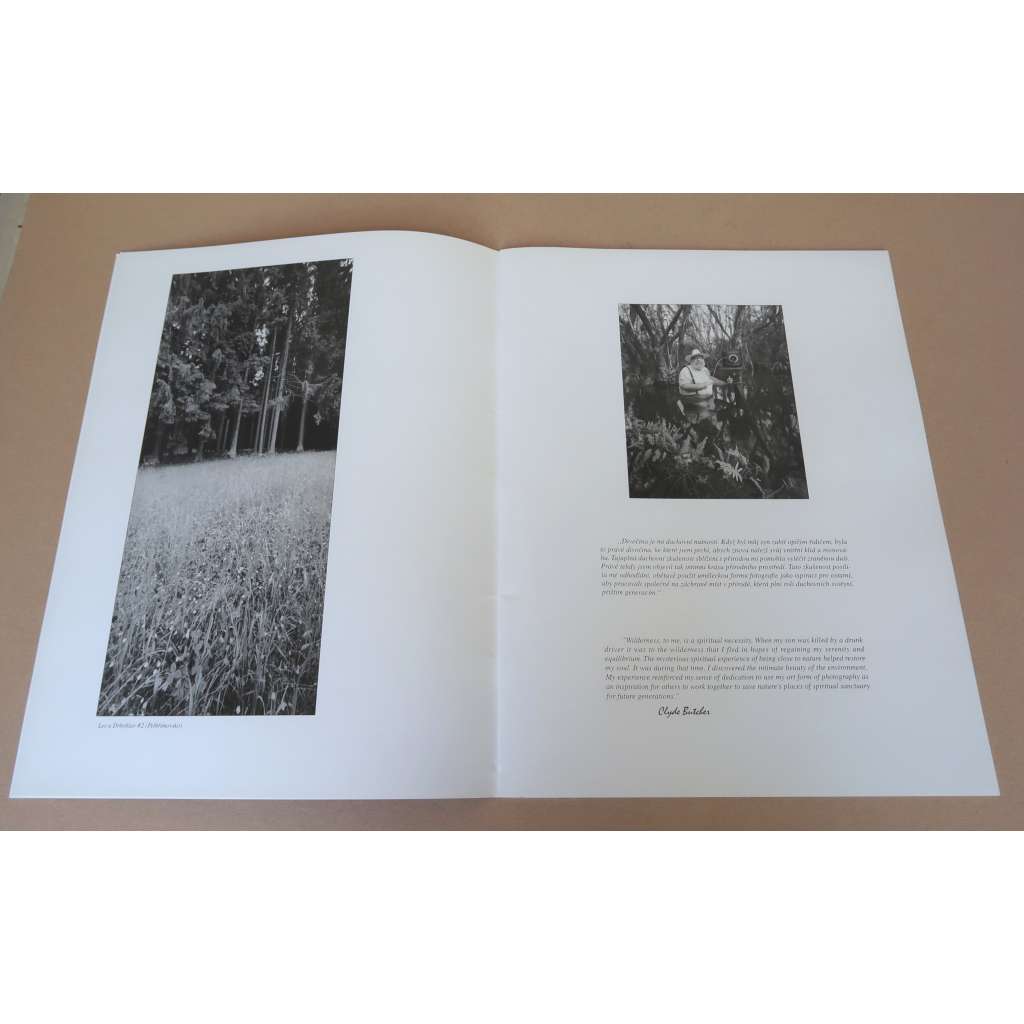 Clyde Butcher: Visions of the New Millennium [současná americká fotografie, velkoformátová krajinářská fotografie, americká krajina, příroda]