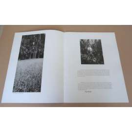 Clyde Butcher: Visions of the New Millennium [současná americká fotografie, velkoformátová krajinářská fotografie, americká krajina, příroda]