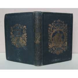 Libussa, vaterländisches Jahrbuch. Neunzehnter Jahrgang - Jahrbuch für 1860 [česká německojazyčná literatura 19. století, vlastenectví, "čeští Němci"]