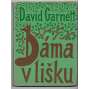 Dáma v lišku [= Proud, sv. 10]