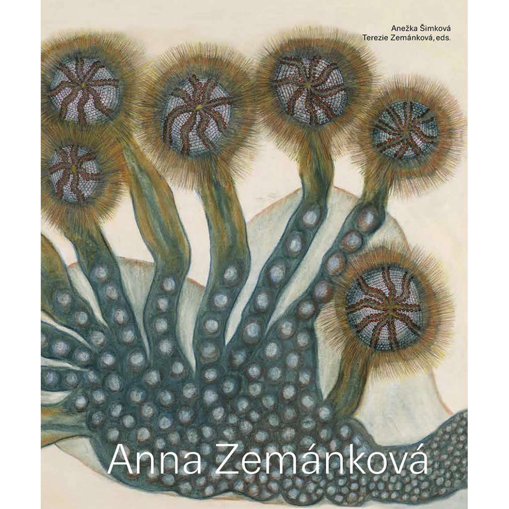 Anna Zemánková  (art brut  monografie česká verze )