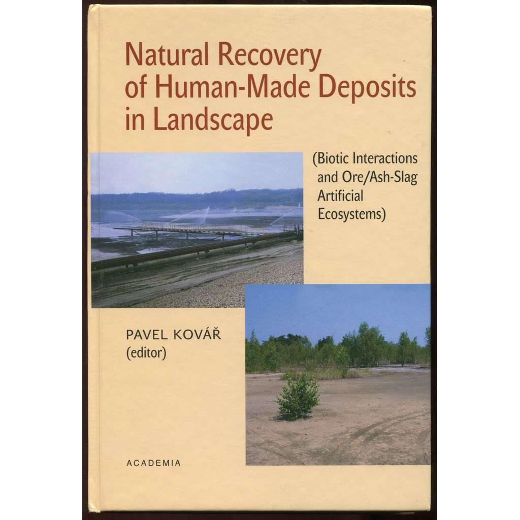 Natural Recovery of Human-Made Deposits in Landscape (Biotic Interactions and Ore/Ash-Slag Artificial Ecosystems)
