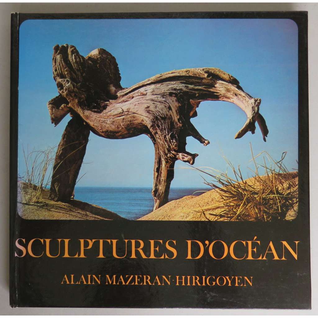 Sculptures d'Océan [texty a fotografie od Alain Mazeran-Hirigoyen] HOL