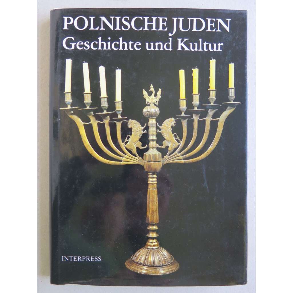 Polnische Juden. Geschichte und Kultur [židi, Polsko, dějiny a kultura]