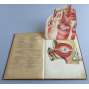 Zerlegbare Modelle zu Dr. F. König's Ratgeber [rozkládací lidské tělo - 4 anatomické skládací modely: muž, žena, hlava a končetiny]