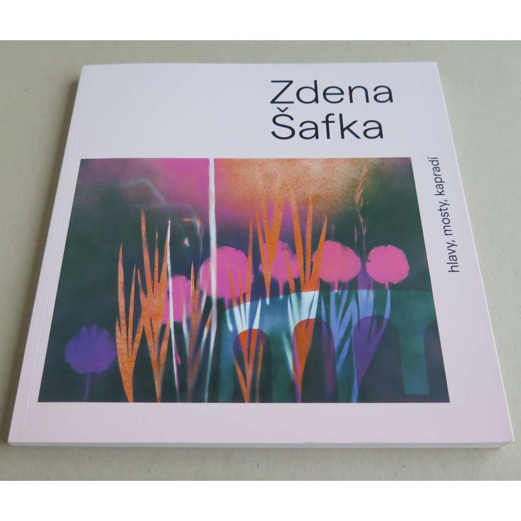 Zdena Šafka - hlavy, mosty, kapradí = Zdenek Šafka: head, bridges, ferns [katalog, výstava]