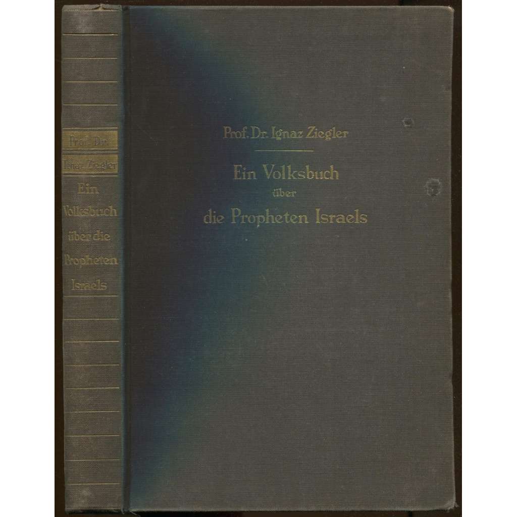 Ein Volksbuch über die Propheten Israels [judaismus, židovství, náboženství]