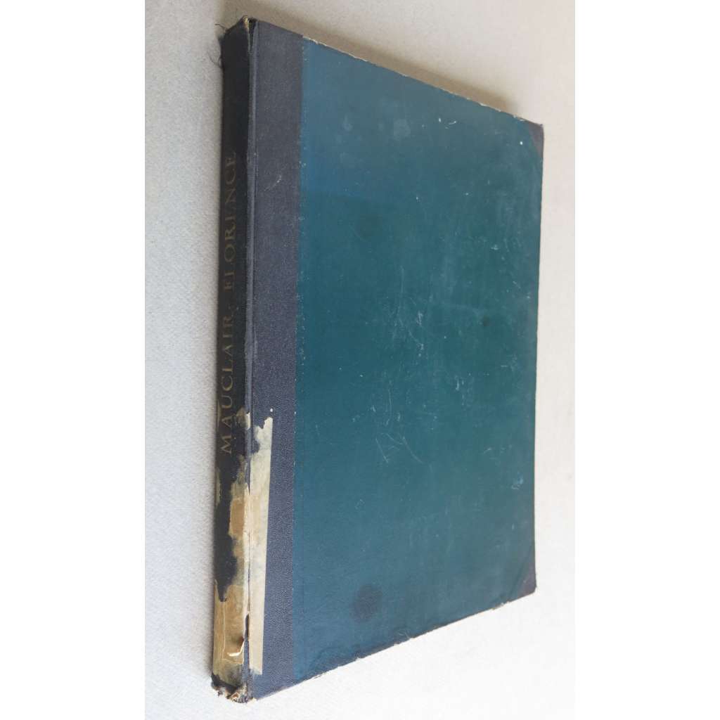 Florence [Florenc, Toskánsko, místopis]