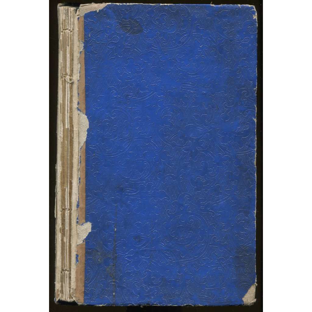 Kurzgefaßte Geschichte der k. befreiten allezeit getreuen Berg- und Kreisstadt Böhmisch-Budweis [České Budějovice, dějiny, místopis]