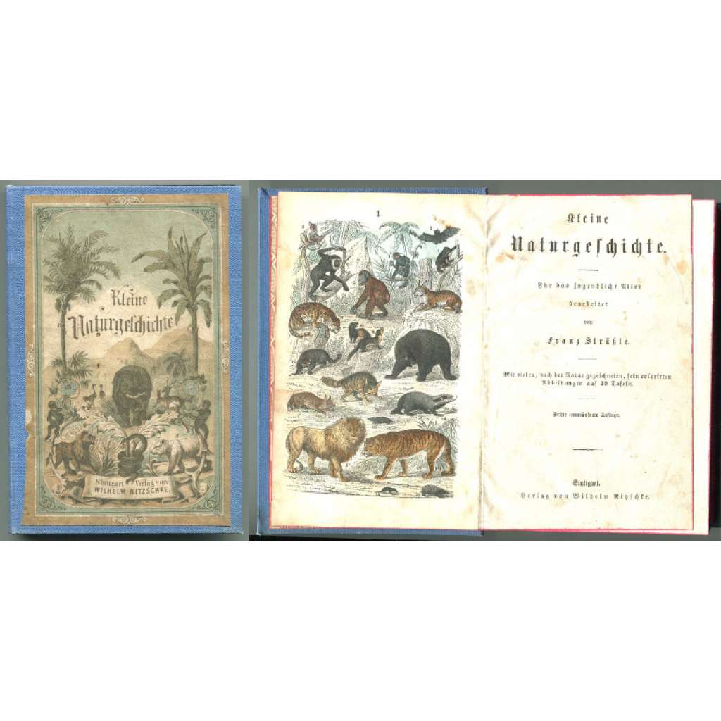 Kleine Naturgeschichte. Für das jugendliche Alter bearbeitet von Franz Sträßle. Mit vielen, nach der Natur gezeichneten, fein colorirten Abbildungen auf 10 Tafeln. Dritte unveränderte Auflage [přírodověda, učebnice, litografie]