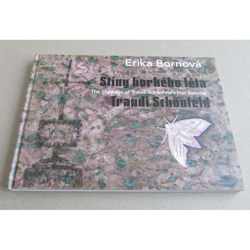 Stíny horkého léta Traudi Schönfeld = The Shadows of Traudi Schönfeld’s Hot Summer [Sudety, umění, malířství]