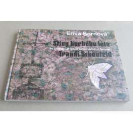 Stíny horkého léta Traudi Schönfeld = The Shadows of Traudi Schönfeld’s Hot Summer [Sudety, umění, malířství]