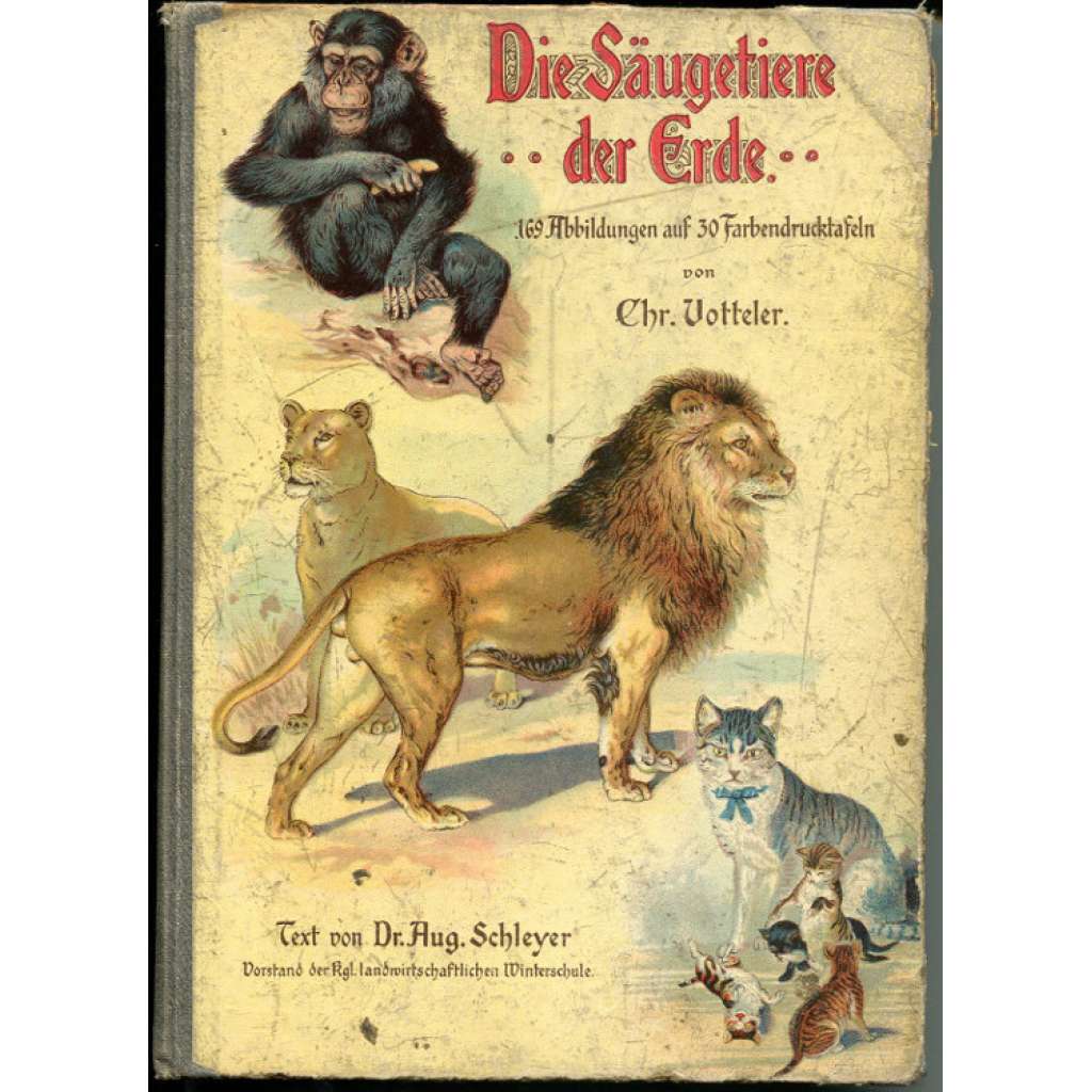 Die Säugetiere der Erde. 169 Abbildungen auf 30 Farbendrucktafeln und mehreren Text-Illustrationen [savci, přírodopis, litografie]