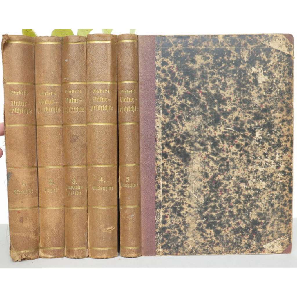 Die Naturgeschichte des Thierreichs [5 svaků:] 1. Säugethiere; 2. Vögel; 3. Amphibien und Fische; 4. Gliederthiere; 5. Bauchthiere [= Die Drei Reiche der Natur. Erste Abtheilung; 1-5] [přírodopis, dřevoryty]
