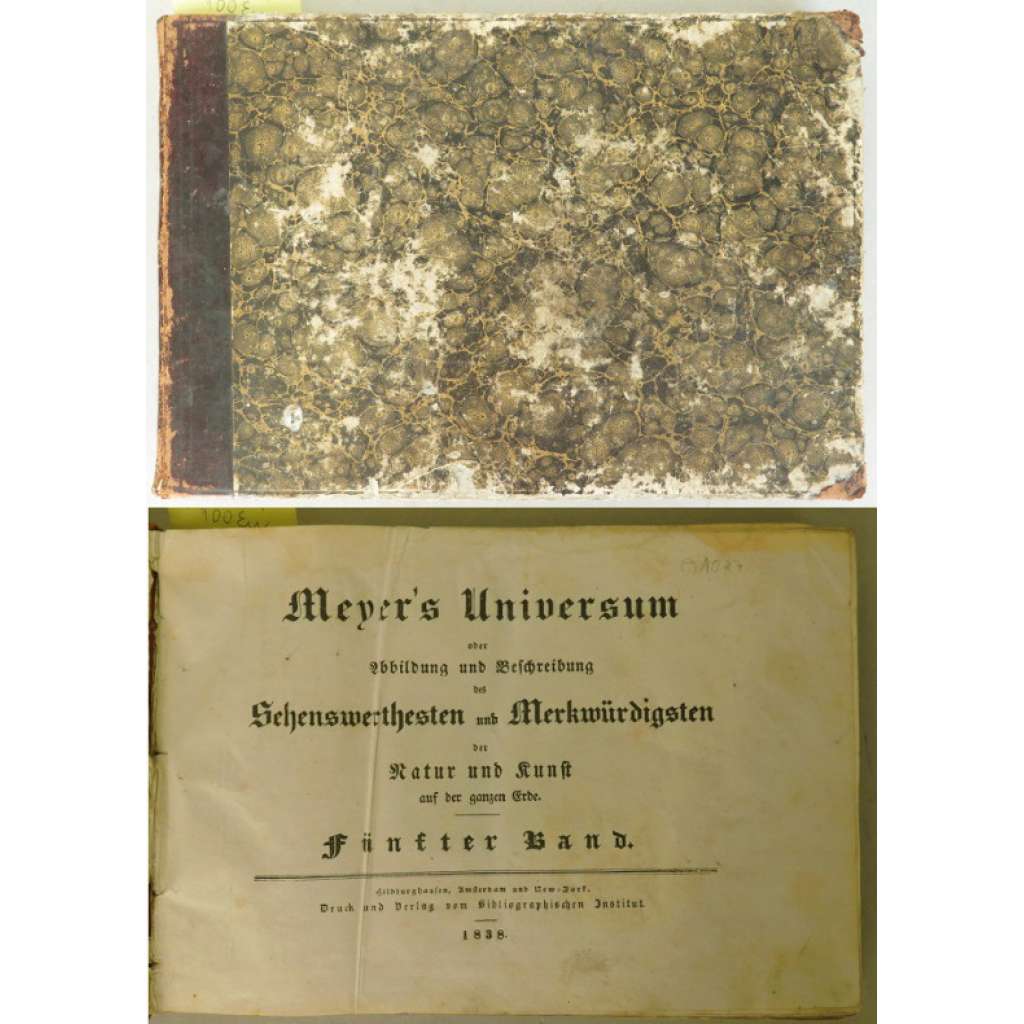 Meyer's Universum, oder Abbildung und Beschreibung des Sehenswerthesten und Merkwürdigsten der Natur und Kunst auf der ganzen Erde; Fünfter Band [oceloryty, místopis, vazba kůže]