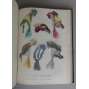 Les Modes Parisiennes Illustrées. Journal de la bonne compagnie. Fashions, toilettes, ameublements, théatres, livres nouveaux, romans, poésies, causeries; vingt-deuxième année, Janvier - Juin 1864 [móda, barevné litografie, staré tisky]