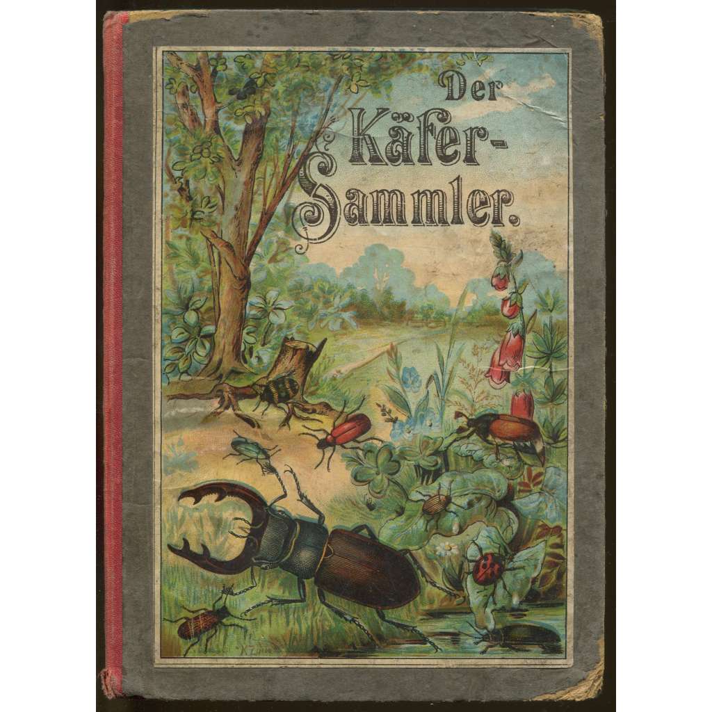 Der kleine Käfersammler. Anleitung zur Kenntnis und zum Sammeln der einheimischen Käfer. Mit Farbendrucktafeln. Zweite Auflage [brouci, entomologie, barevné rytiny]
