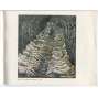 Henry Moore [= The Penguin Modern Painters] [malířství, malba, umění, monografie]