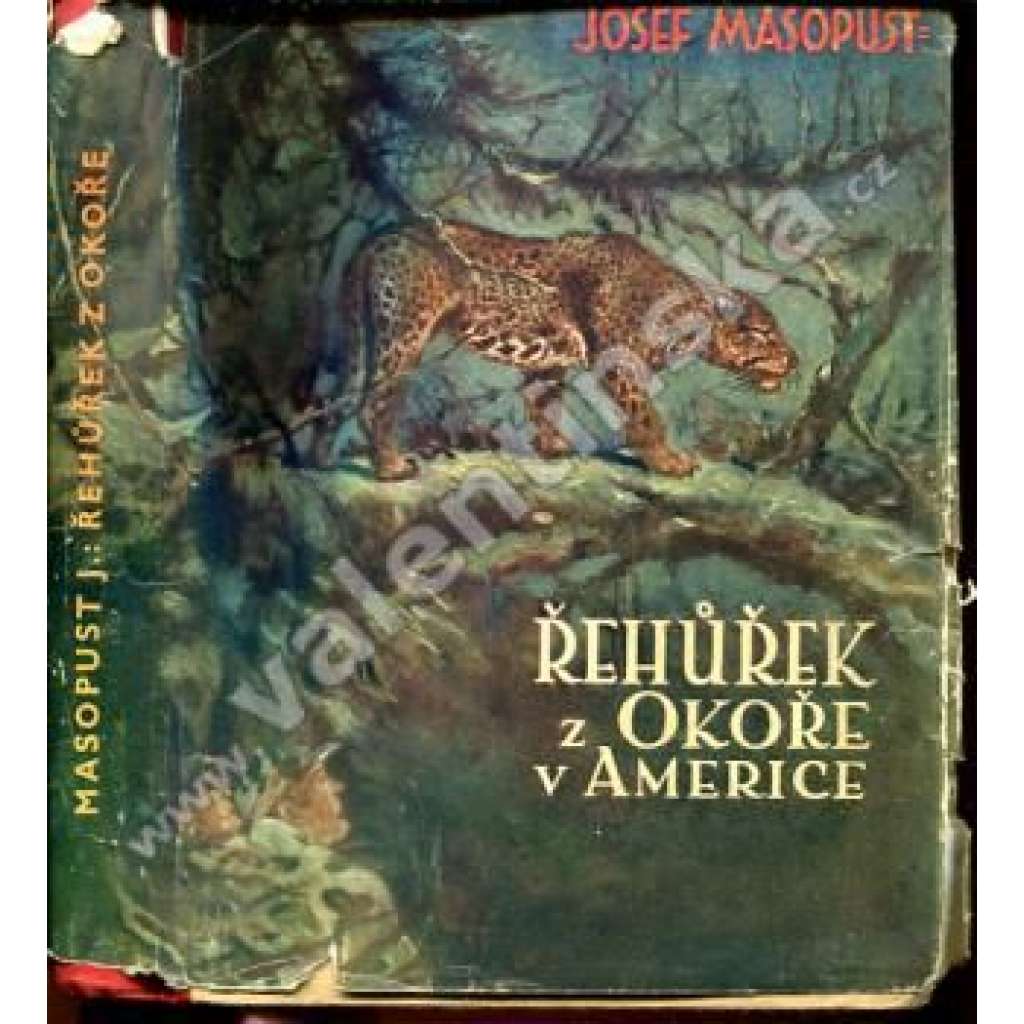 Řehůřek z Okoře v Americe. Dobrodružství českého hocha v cizině (dobrodružství, cestopis)