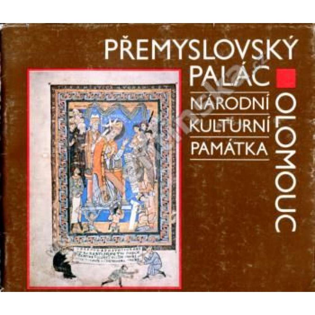 Přemyslovský palác v Olomouci [Olomouc, románská architektura, Přemyslovci, hrad, raný středověk] - katalog expozice