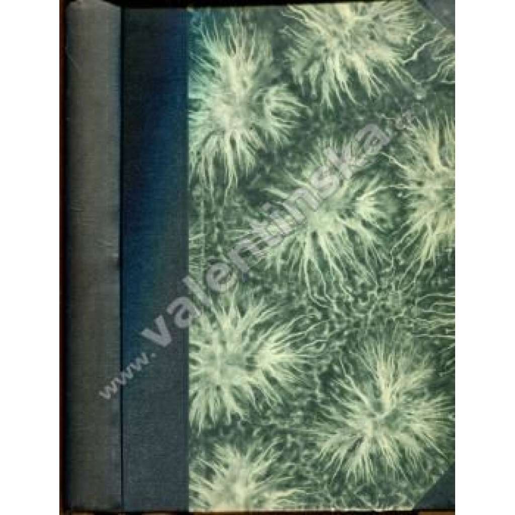 Země 1923, ročník 4 (časopis, poezie, beletrie, mj. A. S. Puškin - Píseň; H. Heine - Z cestopisu Italie; Mnich z Ruska; J. Ruskin - Diamantové pole; V. Brjusov - Ohnivý anděl; ilustrace Josef Lada)