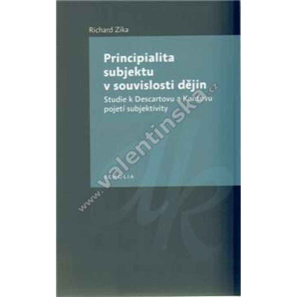 Principialita subjektu v souvislosti dějin