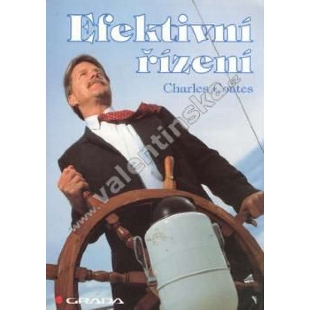 Efektivní řízení (management, podnikání)