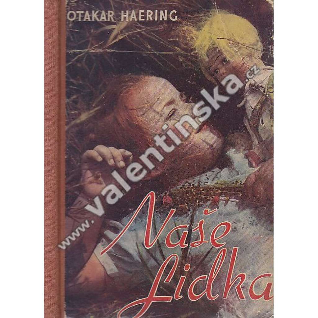 Naše Lidka (román pro dívky; ilustrace Jarka Štika)