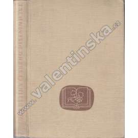 Dějiny českého písemnictví [česká literatura, historie české literatury]