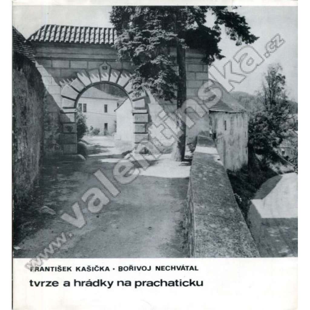 Tvrze a hrádky na Prachaticku [okresu Prachatice - Pošumaví]