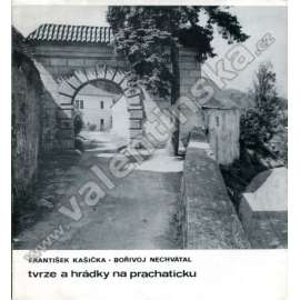 Tvrze a hrádky na Prachaticku [okresu Prachatice - Pošumaví]