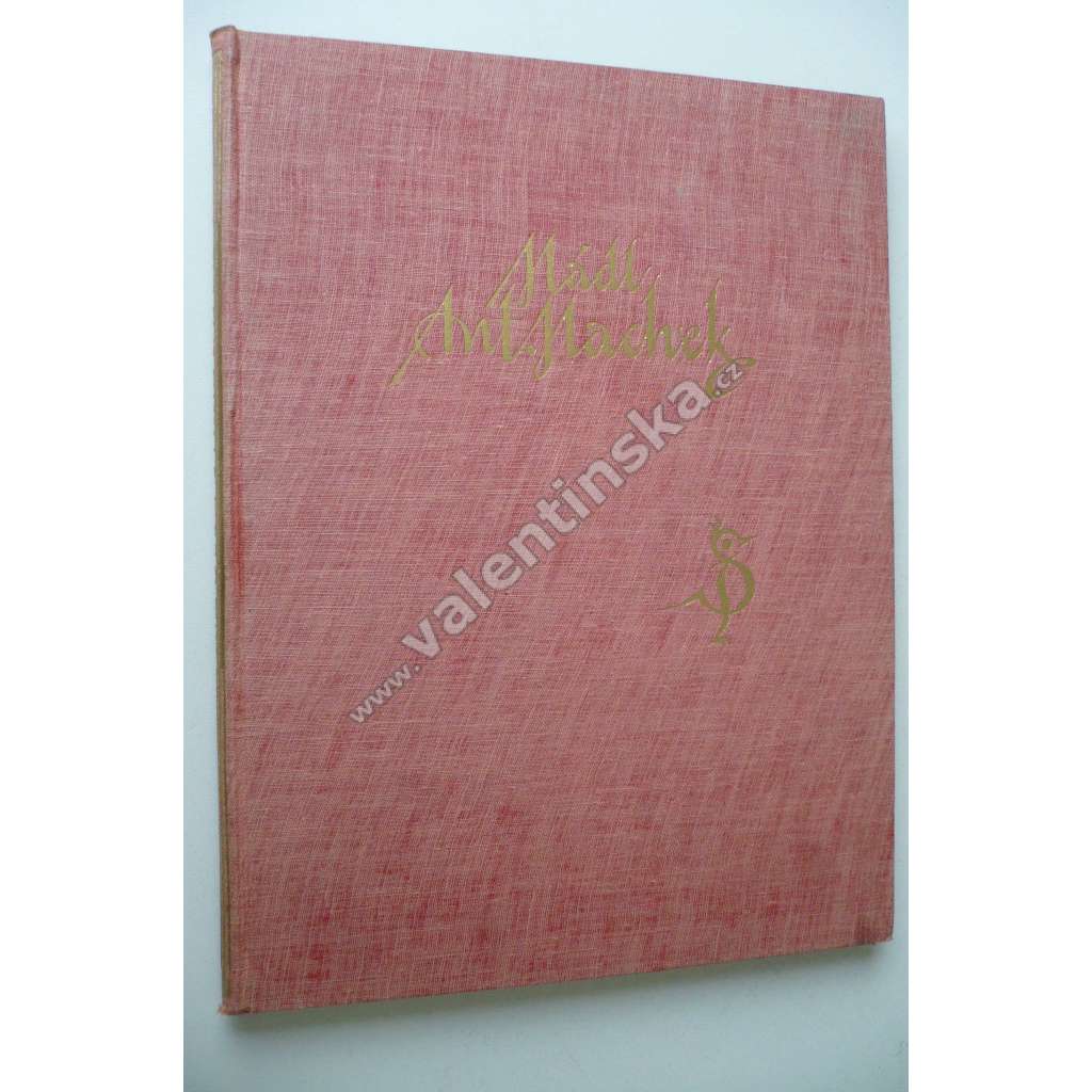 Antonín Machek - Malíř podobizen 1775-1844 [portrét, portrétní obrazy]