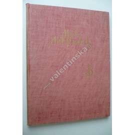 Antonín Machek - Malíř podobizen 1775-1844 [portrét, portrétní obrazy]